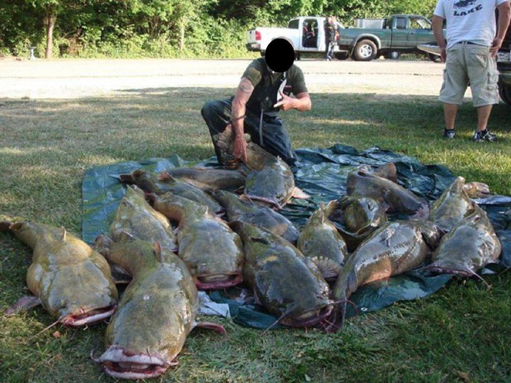 Fishing Pay Lakes In Ohio All About Fishing